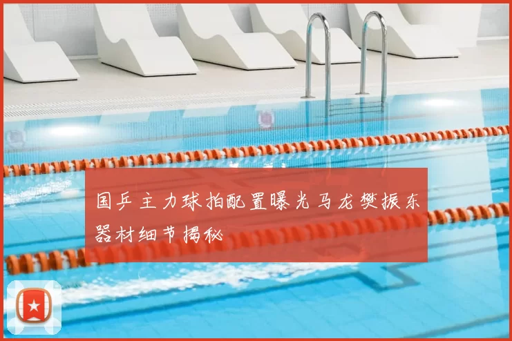 国乒主力球拍配置曝光马龙樊振东器材细节揭秘