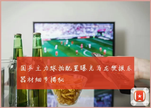 国乒主力球拍配置曝光马龙樊振东器材细节揭秘