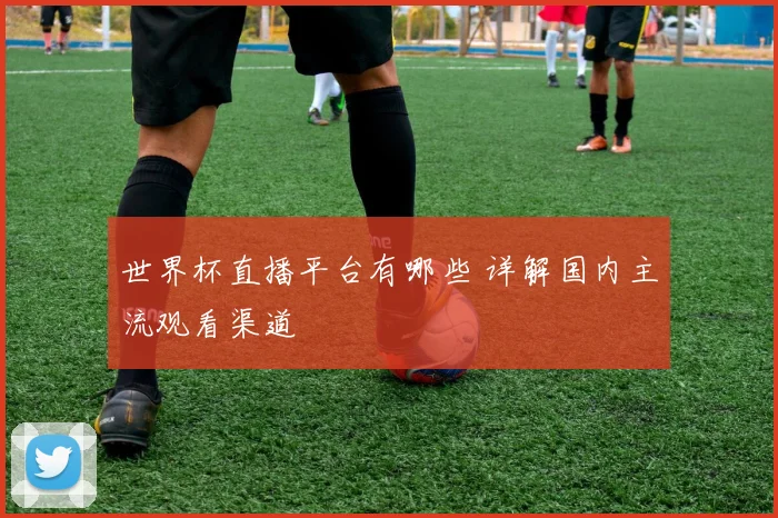 世界杯直播平台有哪些 详解国内主流观看渠道