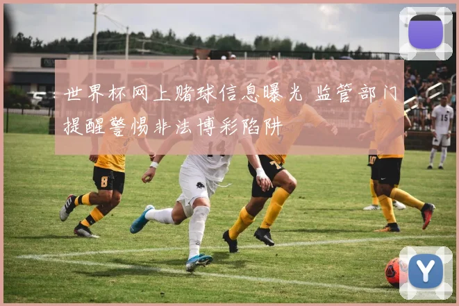 世界杯网上赌球信息曝光 监管部门提醒警惕非法博彩陷阱
